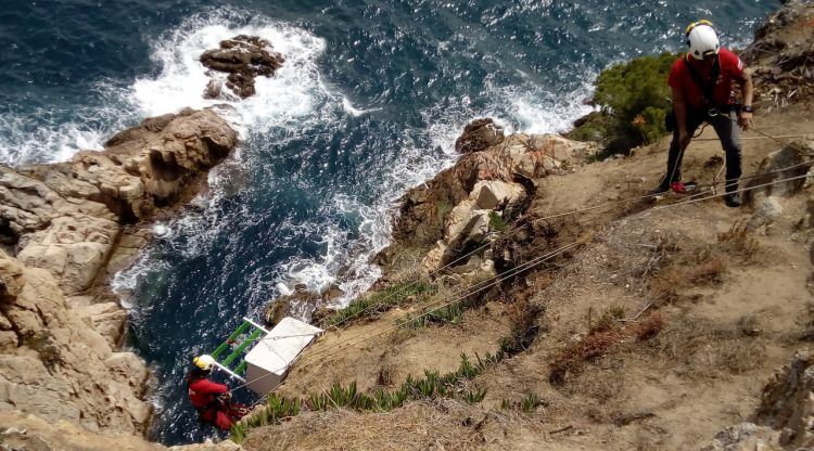 Els tècnics instal·lant la caixa niu per a falcons pelegrins en un penya-segat del Far de Tossa de Mar. ACN