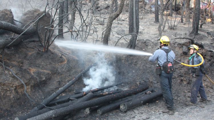 Incendi a les Gavarres l'estiu passat