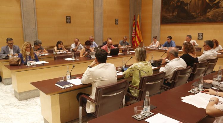 Els diferents diputats provincial de la Diputació de Girona en el ple extraordinari d'avui. ACN