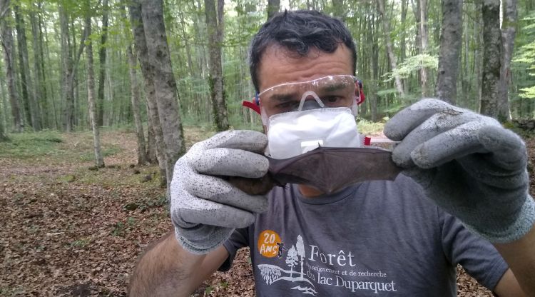 Un investigador mentre examina una ala de ratpenat a la Fageda d'en Jordà. ACN