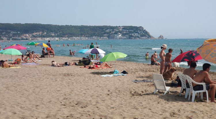 Platja de Griells a l'Estartit en una imatge d'arxiu. ACN