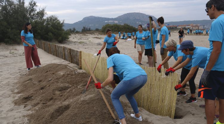 Un grup de treballadors dels laboratoris Ferrer col·locant unes trampes sedentàries a la platja de la Pletera. ACN