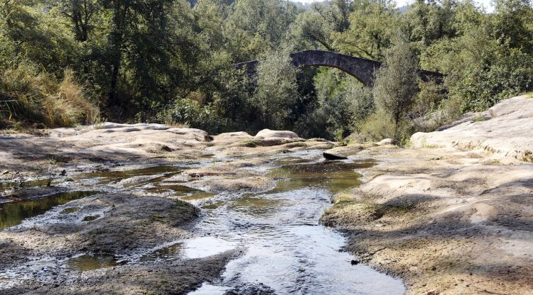 La poca aigua que hi ha a la riera de Merlès, al seu pas per Santa Maria de Merlès. ACN