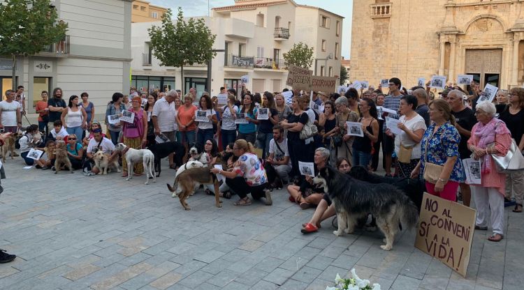 Els manifestants concentrats davant de l'Ajuntament, minuts abans de començar el ple. Júlia Bolea