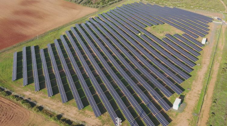 La planta solar fotovoltaica de Som Energia a Lora del Río