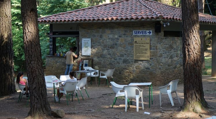 El bar d'Els Pins en una imatge feta aquest estiu