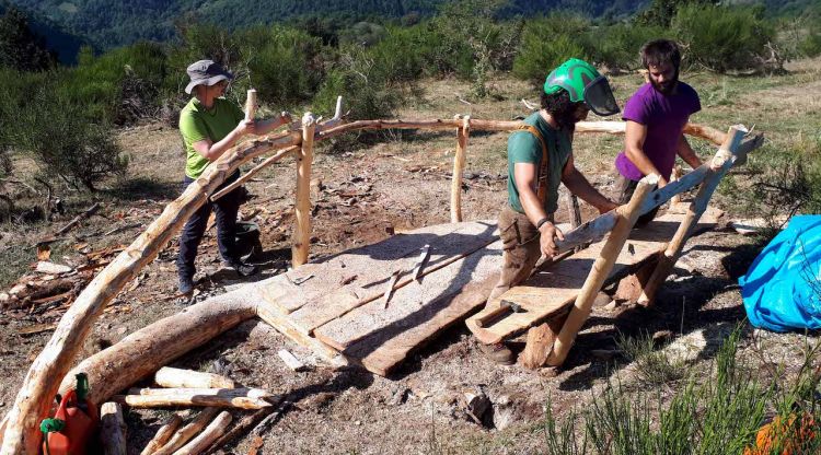 Voluntaris del projecte Boscos de Muntanya treballant al bosc aquest estiu
