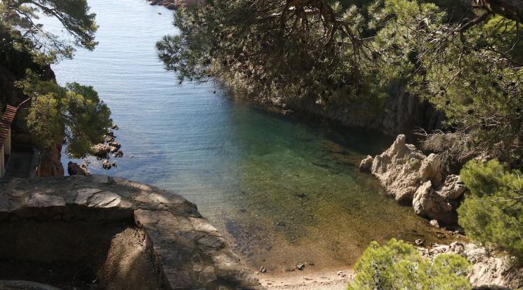 Vista de la cala Aigua Xelida de Tamariu (arxiu). ACN