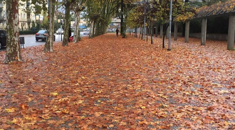 El carrer de Barcelona en un dels accessos al Parc Migdia, aquest matí. Cristina Martínez