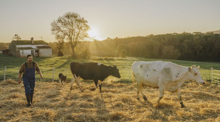 Un fotograma de l'anunci amb la granja de fons