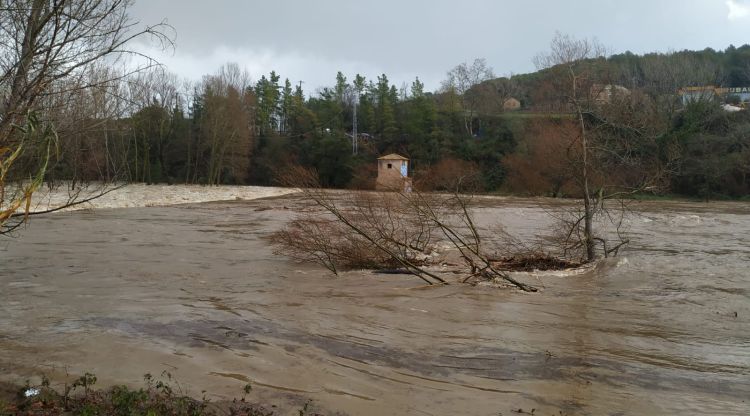 El riu Ter al seu pas per Sarrià de Ter, aquest matí