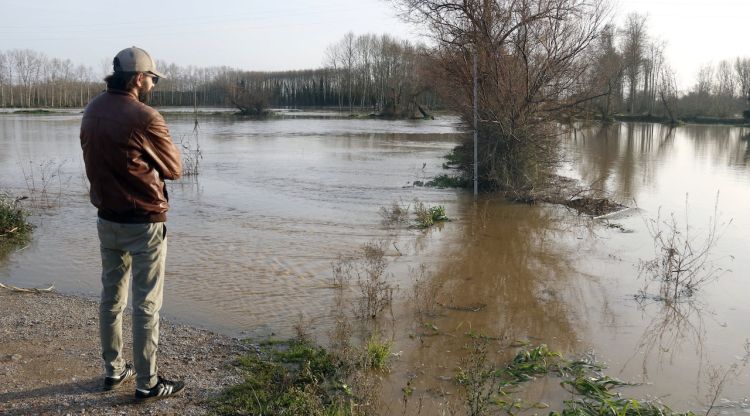 Un veí de Verges (Baix Empordà) observant el nivell del Ter desbordat al límit de la Mota. ACN