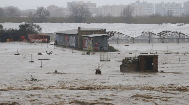 Imatge de conreus completament inundats a la llera de la Tordera, a Malgrat de Mar el dimecres. ACN