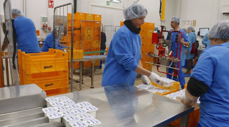 Treballadors de La Fageda a una de les línies de iogurts. ACN