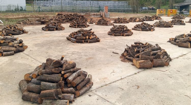 Pilons de fusta que l'Ajuntament de les Preses (Garrotxa) donarà a veïns