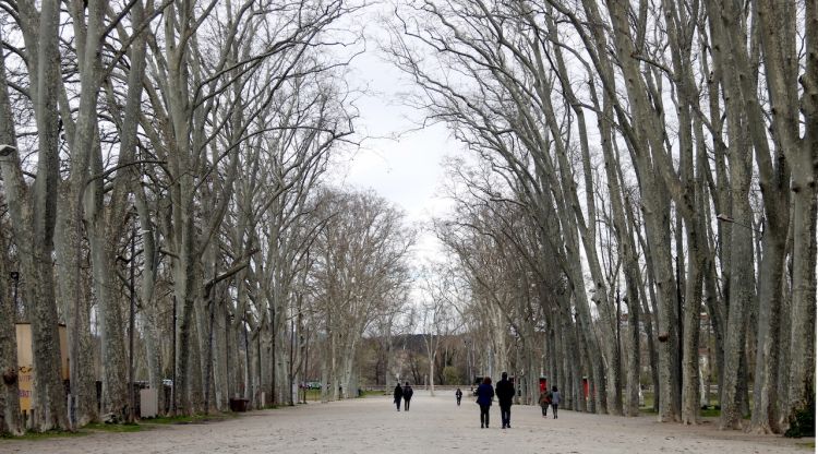 La Devesa de Girona, aquesta tarda. ACN