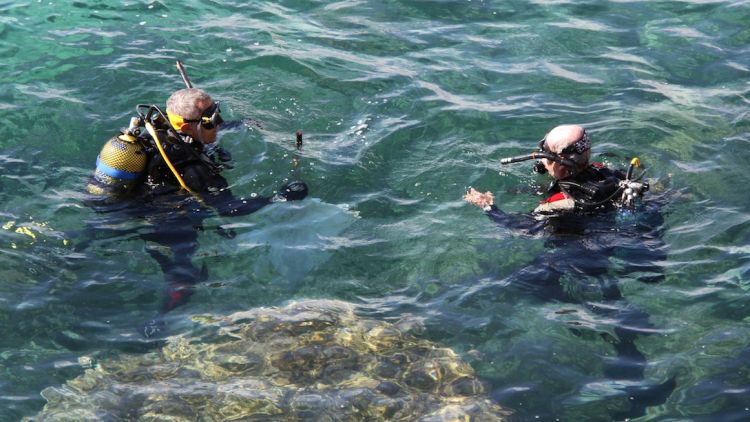 Una setantena de submarinistes han participat en la neteja del fons marí de Platja d'Aro © ACN