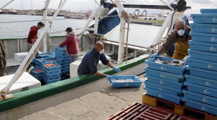 Filera de treballadors descarregant peix i marisc a Palamós, aquest matí. ACN