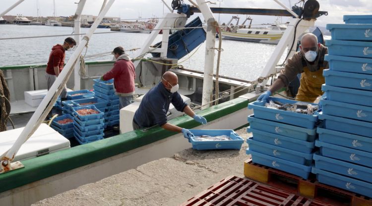 Les embarcacions al port de Palamós el passat 25 de març. ACN