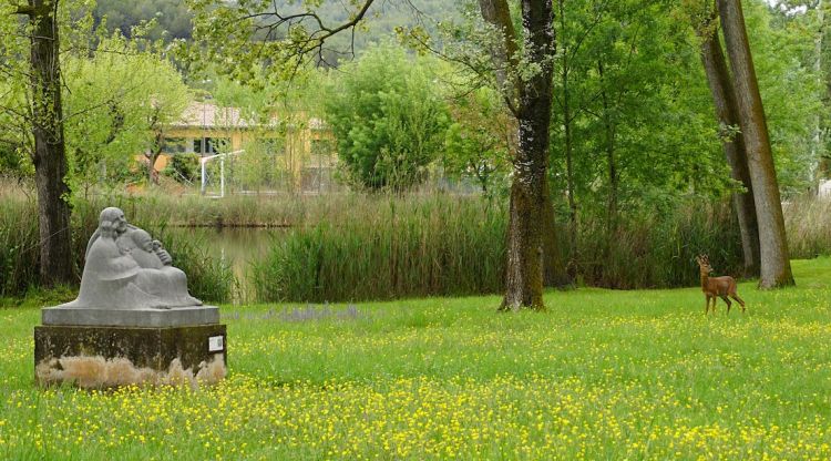 El cabirol albirat a tocar l'Estany de Banyoles, avui. Sergi Ferrés @sergiferr