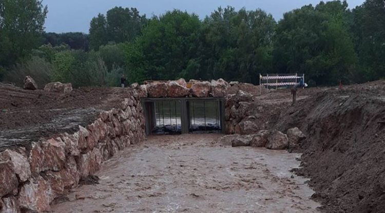 La Mota a Torroella, aquest matí