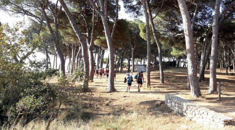 Un tram del camí de ronda de Palamós