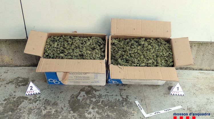 Els dos detinguts transportaven 9,6 quilos de cabdells de marihuana a dins d'un dels cotxes amb intenció d'entrar-los a França