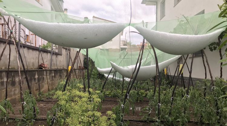 Les xarxes de protecció d'un hort a les Planes d'Hostoles amb la pedra que ha caigut aquesta tarda