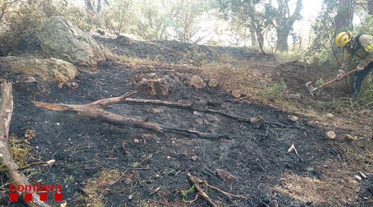 Pla mitjà de la zona que s'ha cremat al Puig d'en Xifre de Palamós