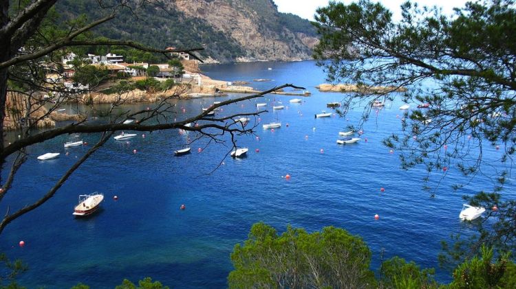 La platja d'Aiguablava és una de les guardonades © AG