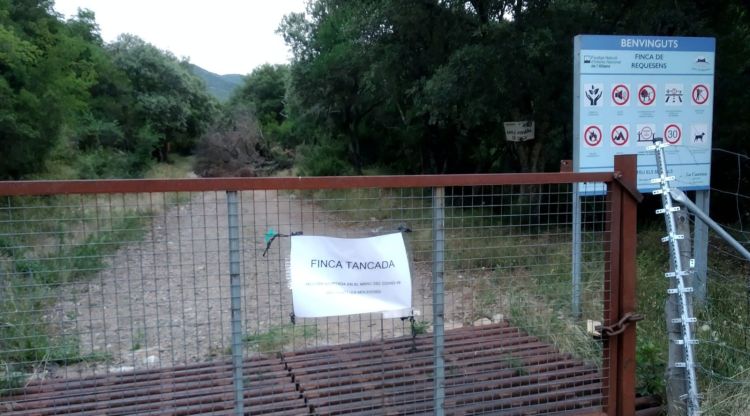 L'accés principal provinent de Cantallops, totalment barrat i amb un arbre talat al fons de la pista forestal