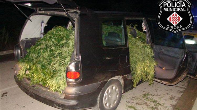 Vehicle on els quatre detinguts carregaven la marihuana © AG
