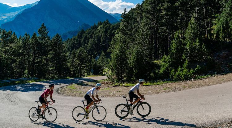 Ciclistes pujant per la carretera de Vallter 2000 al Ripollès