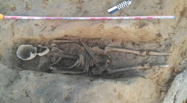 Un dels esquelets a la zona d'excavació de Fares. ACN