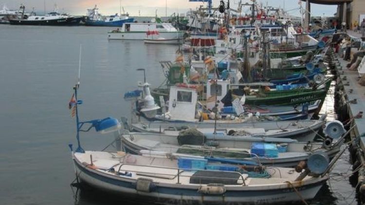 Barques de pesca al port de Roses © AG