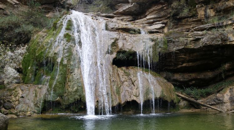 Pla general del Torrent de la Cabana a Campdevànol. ACN