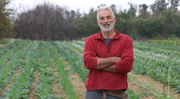 Un dels pagesos que participa en la iniciativa de Xarxa Pagesa recollint al seu camp a Albons. ACN