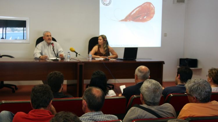 Jornada tècnica sobre la Gamba de Palamós © ACN