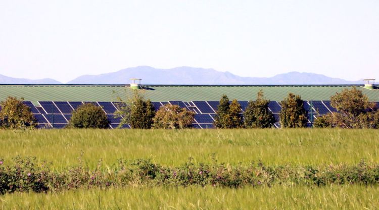 Imatge de "l'horta solar" que hi ha al terme municipal d'Ordis. ACN