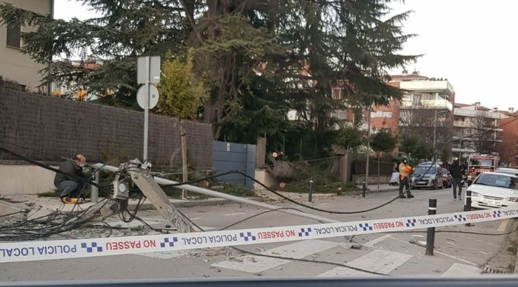 Ahir un arbre va tombar un pal de llum a Olot. Anti-Radars Garrotxa