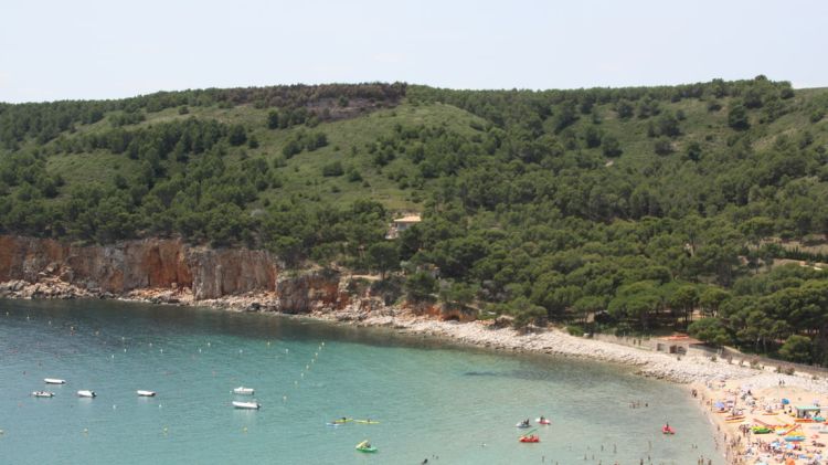 La zona superior de la muntanya ha quedat cremada © ACN