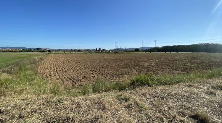 Aquests són els terrenys que acolliran el futur nou hospital Josep Trueta. M. Estarriola