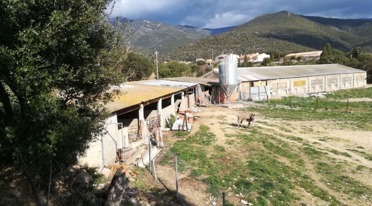 Pla general de la granja de Cantallops que s'ha ordenat clausurar