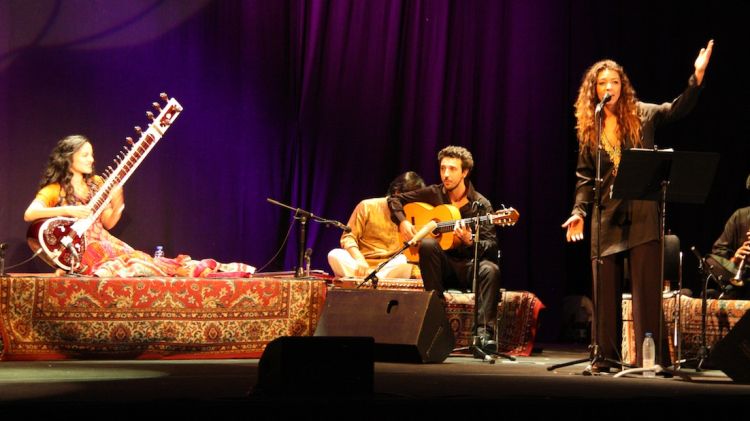 Un dels espectacles de la darrera edició, el concert d'Anoushka Shankar (arxiu)