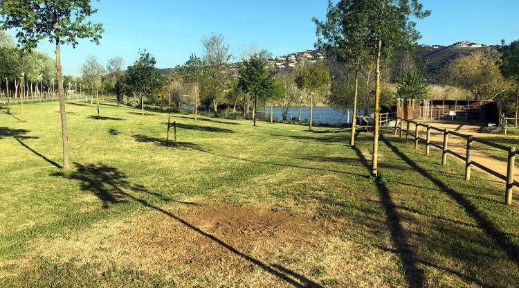 La zona del parc dels Estanys on hi havia el monòlit d'acer inoxidable, ara ja sense l'escultura