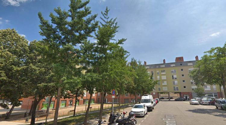 Arbres de la plaça de Sant Ponç que rebran el tractament herbicida les properes setmanes