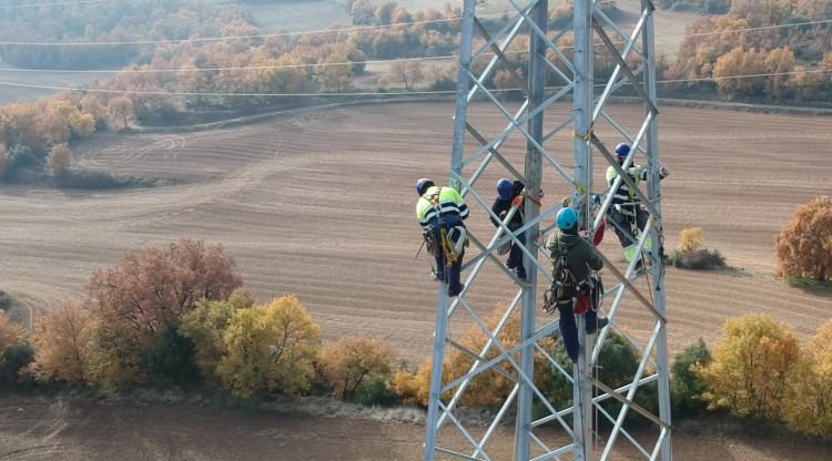 Uns operaris treballant en una torre elèctrica