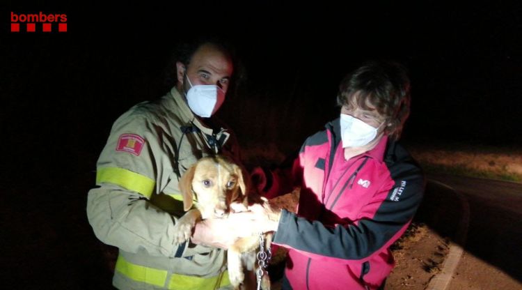 Els Bombers amb l'Hilari, el gos de l'home desaparegut ahir a Ordis