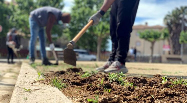 Treballs de deserbatge al nucli urbà de Castelló d'Empúries