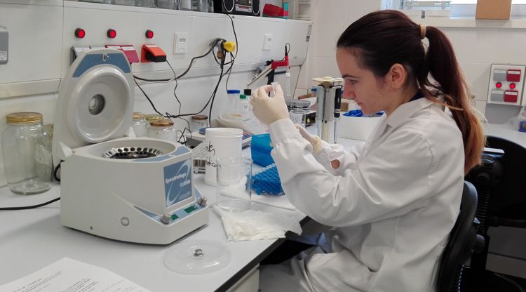 Una investigadora del Laboratori d’Ictiologia Genètica treballant en l’anàlisi genètic de la gamba vermella